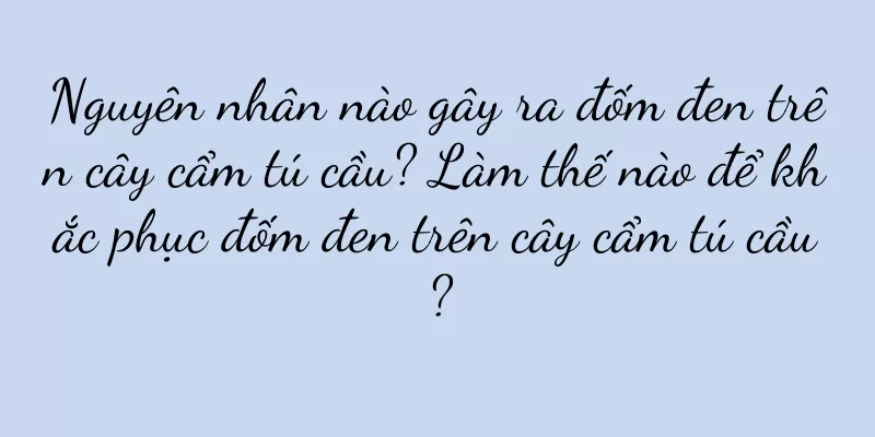Nguyên nhân nào gây ra đốm đen trên cây cẩm tú cầu? Làm thế nào để khắc phục đốm đen trên cây cẩm tú cầu?