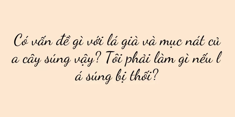Có vấn đề gì với lá già và mục nát của cây súng vậy? Tôi phải làm gì nếu lá súng bị thối?
