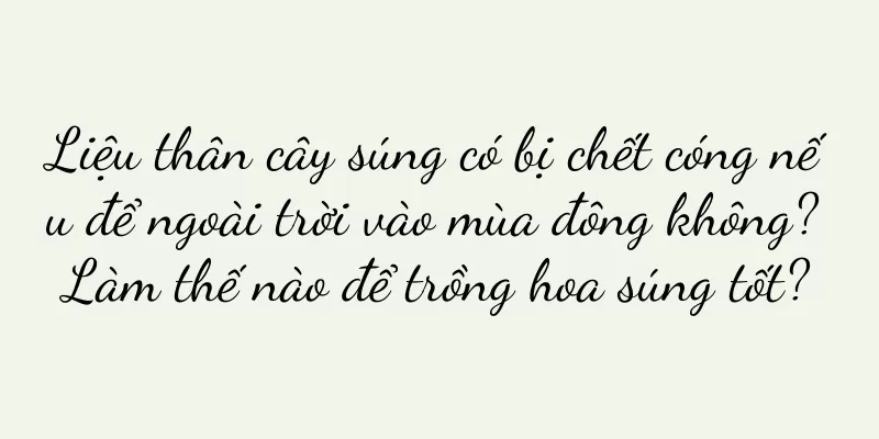 Liệu thân cây súng có bị chết cóng nếu để ngoài trời vào mùa đông không? Làm thế nào để trồng hoa súng tốt?