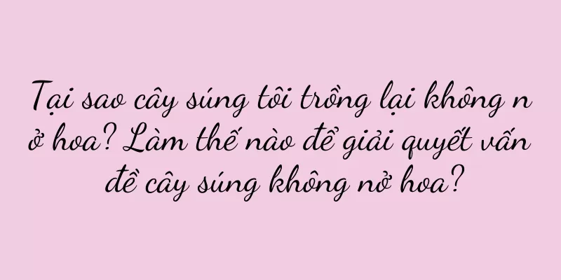 Tại sao cây súng tôi trồng lại không nở hoa? Làm thế nào để giải quyết vấn đề cây súng không nở hoa?