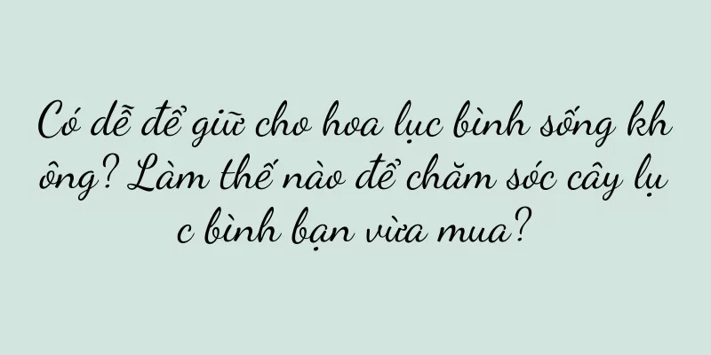 Có dễ để giữ cho hoa lục bình sống không? Làm thế nào để chăm sóc cây lục bình bạn vừa mua?