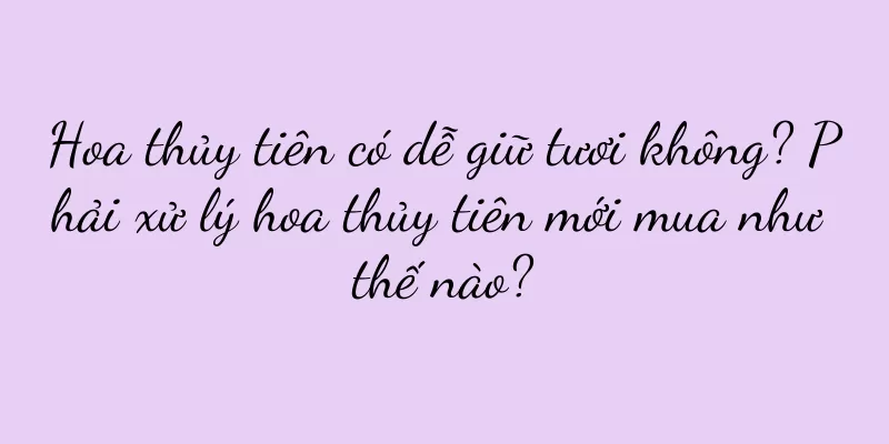 Hoa thủy tiên có dễ giữ tươi không? Phải xử lý hoa thủy tiên mới mua như thế nào?