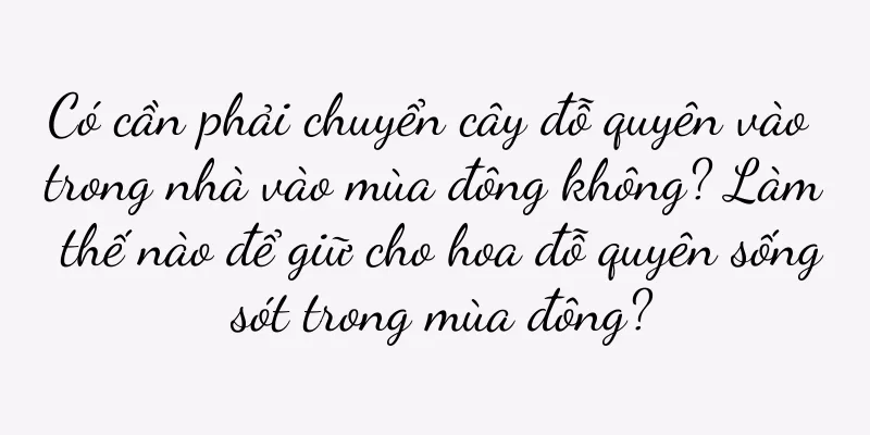 Có cần phải chuyển cây đỗ quyên vào trong nhà vào mùa đông không? Làm thế nào để giữ cho hoa đỗ quyên sống sót trong mùa đông?
