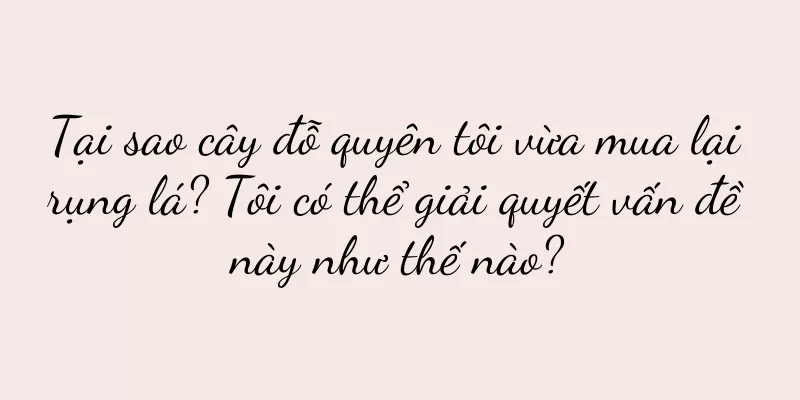 Tại sao cây đỗ quyên tôi vừa mua lại rụng lá? Tôi có thể giải quyết vấn đề này như thế nào?