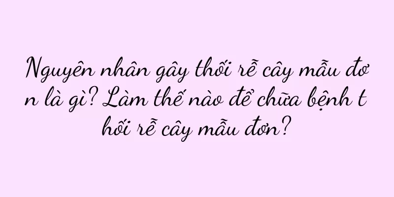 Nguyên nhân gây thối rễ cây mẫu đơn là gì? Làm thế nào để chữa bệnh thối rễ cây mẫu đơn?