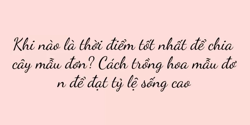 Khi nào là thời điểm tốt nhất để chia cây mẫu đơn? Cách trồng hoa mẫu đơn để đạt tỷ lệ sống cao