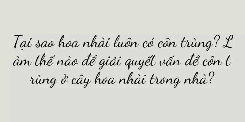 Tại sao hoa nhài luôn có côn trùng? Làm thế nào để giải quyết vấn đề côn trùng ở cây hoa nhài trong nhà?