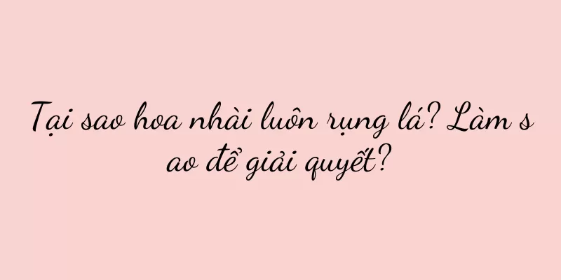 Tại sao hoa nhài luôn rụng lá? Làm sao để giải quyết?