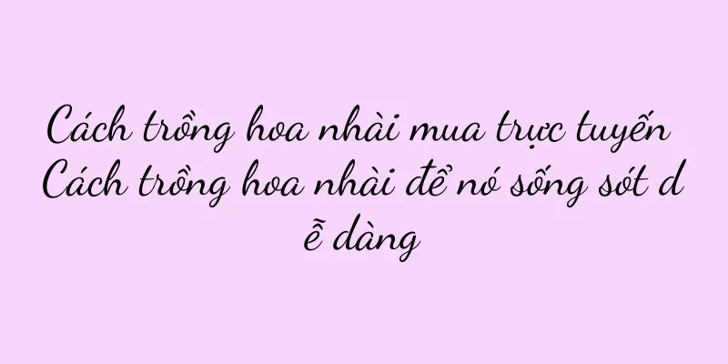 Cách trồng hoa nhài mua trực tuyến Cách trồng hoa nhài để nó sống sót dễ dàng