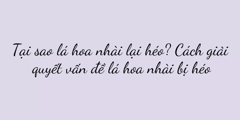 Tại sao lá hoa nhài lại héo? Cách giải quyết vấn đề lá hoa nhài bị héo