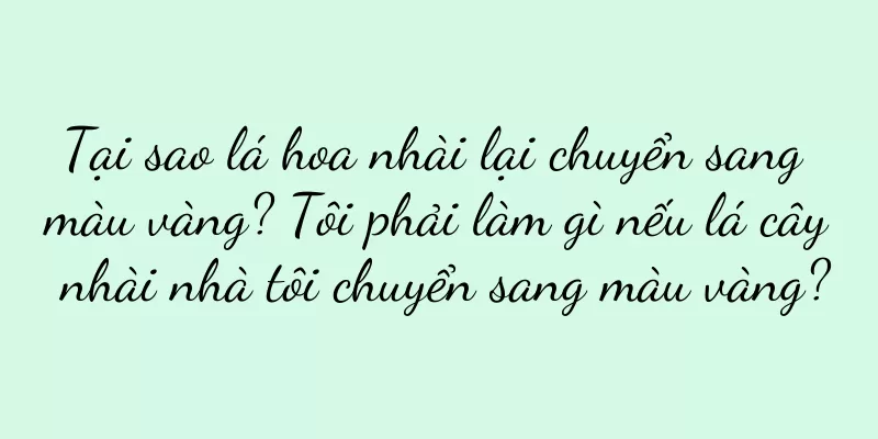 Tại sao lá hoa nhài lại chuyển sang màu vàng? Tôi phải làm gì nếu lá cây nhài nhà tôi chuyển sang màu vàng?