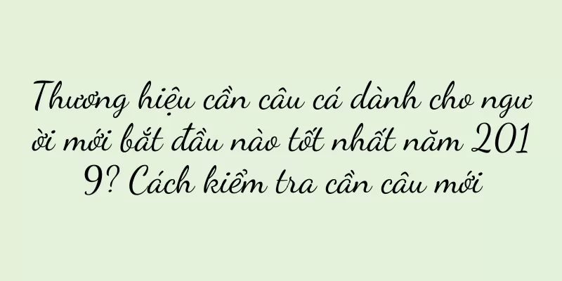 Thương hiệu cần câu cá dành cho người mới bắt đầu nào tốt nhất năm 2019? Cách kiểm tra cần câu mới