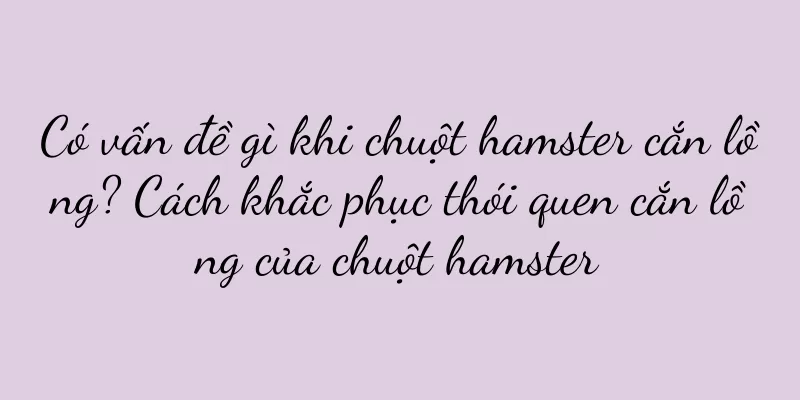 Có vấn đề gì khi chuột hamster cắn lồng? Cách khắc phục thói quen cắn lồng của chuột hamster
