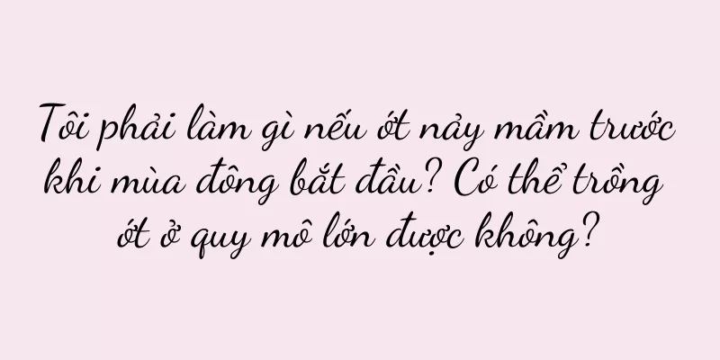 Tôi phải làm gì nếu ớt nảy mầm trước khi mùa đông bắt đầu? Có thể trồng ớt ở quy mô lớn được không?