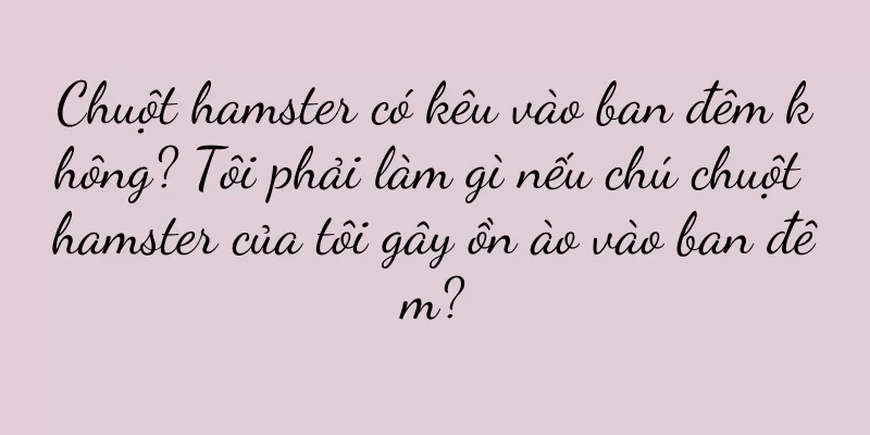 Chuột hamster có kêu vào ban đêm không? Tôi phải làm gì nếu chú chuột hamster của tôi gây ồn ào vào ban đêm?