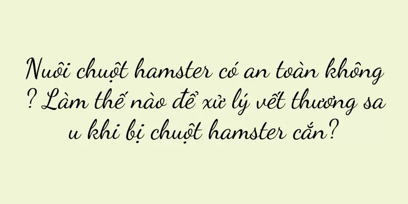 Nuôi chuột hamster có an toàn không? Làm thế nào để xử lý vết thương sau khi bị chuột hamster cắn?