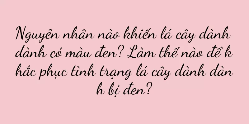Nguyên nhân nào khiến lá cây dành dành có màu đen? Làm thế nào để khắc phục tình trạng lá cây dành dành bị đen?