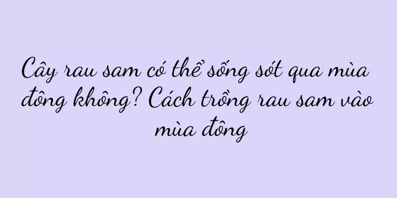 Cây rau sam có thể sống sót qua mùa đông không? Cách trồng rau sam vào mùa đông