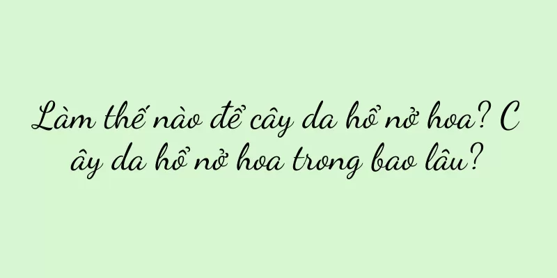 Làm thế nào để cây da hổ nở hoa? Cây da hổ nở hoa trong bao lâu?