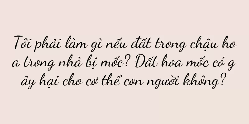Tôi phải làm gì nếu đất trong chậu hoa trong nhà bị mốc? Đất hoa mốc có gây hại cho cơ thể con người không?