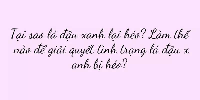 Tại sao lá đậu xanh lại héo? Làm thế nào để giải quyết tình trạng lá đậu xanh bị héo?
