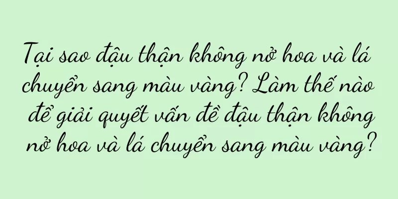 Tại sao đậu thận không nở hoa và lá chuyển sang màu vàng? Làm thế nào để giải quyết vấn đề đậu thận không nở hoa và lá chuyển sang màu vàng?