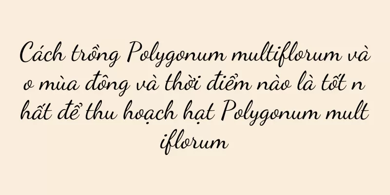 Cách trồng Polygonum multiflorum vào mùa đông và thời điểm nào là tốt nhất để thu hoạch hạt Polygonum multiflorum