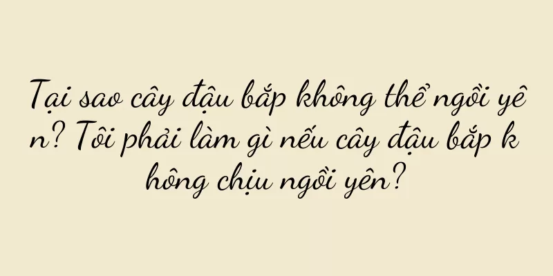 Tại sao cây đậu bắp không thể ngồi yên? Tôi phải làm gì nếu cây đậu bắp không chịu ngồi yên?