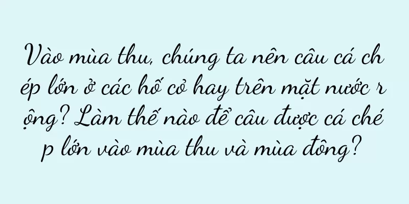 Vào mùa thu, chúng ta nên câu cá chép lớn ở các hố cỏ hay trên mặt nước rộng? Làm thế nào để câu được cá chép lớn vào mùa thu và mùa đông?