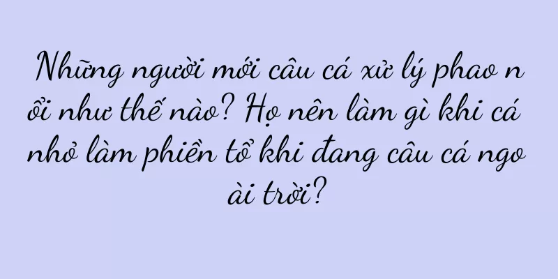 Những người mới câu cá xử lý phao nổi như thế nào? Họ nên làm gì khi cá nhỏ làm phiền tổ khi đang câu cá ngoài trời?