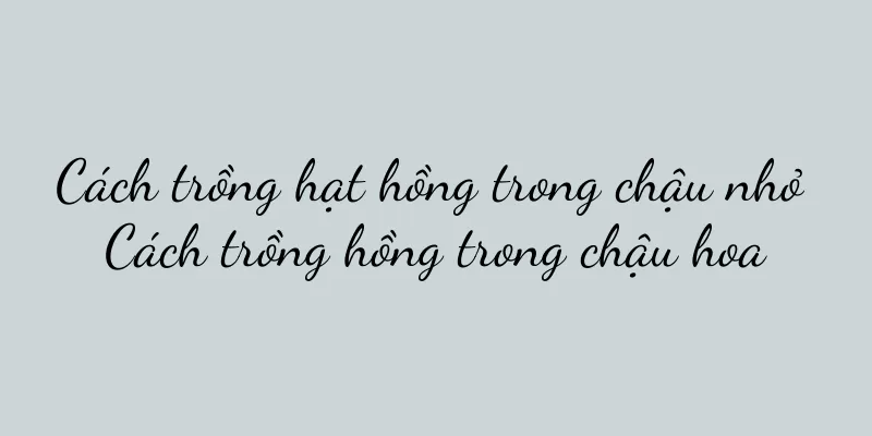 Cách trồng hạt hồng trong chậu nhỏ Cách trồng hồng trong chậu hoa
