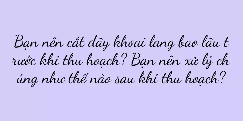Bạn nên cắt dây khoai lang bao lâu trước khi thu hoạch? Bạn nên xử lý chúng như thế nào sau khi thu hoạch?