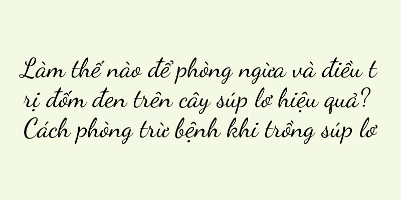 Làm thế nào để phòng ngừa và điều trị đốm đen trên cây súp lơ hiệu quả? Cách phòng trừ bệnh khi trồng súp lơ
