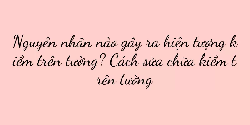 Nguyên nhân nào gây ra hiện tượng kiềm trên tường? Cách sửa chữa kiềm trên tường