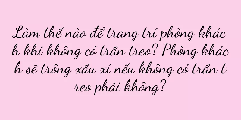 Làm thế nào để trang trí phòng khách khi không có trần treo? Phòng khách sẽ trông xấu xí nếu không có trần treo phải không?