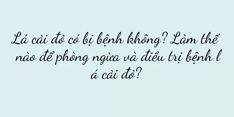 Lá cải đỏ có bị bệnh không? Làm thế nào để phòng ngừa và điều trị bệnh lá cải đỏ?