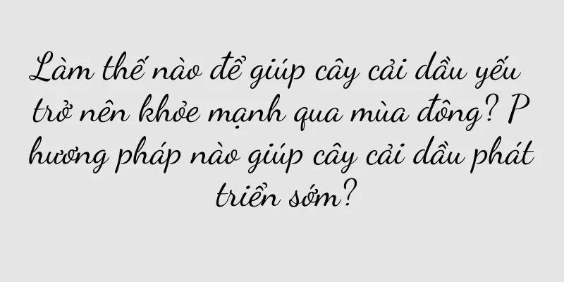 Làm thế nào để giúp cây cải dầu yếu trở nên khỏe mạnh qua mùa đông? Phương pháp nào giúp cây cải dầu phát triển sớm?