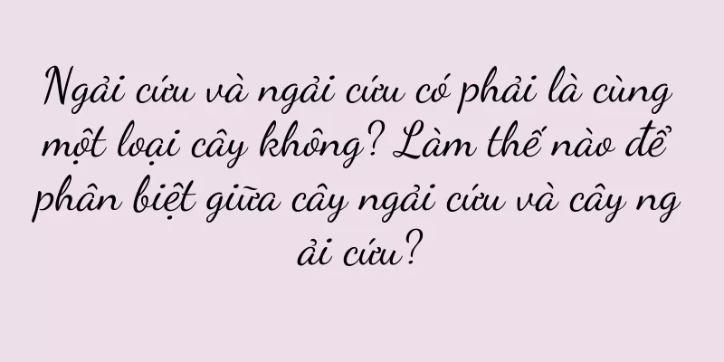 Ngải cứu và ngải cứu có phải là cùng một loại cây không? Làm thế nào để phân biệt giữa cây ngải cứu và cây ngải cứu?