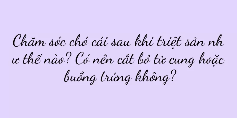 Chăm sóc chó cái sau khi triệt sản như thế nào? Có nên cắt bỏ tử cung hoặc buồng trứng không?
