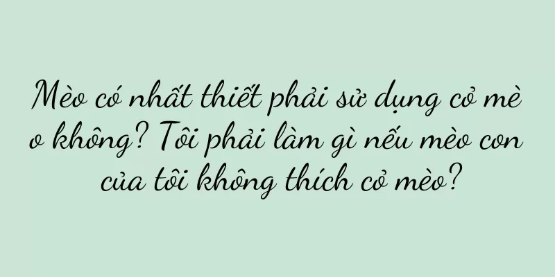 Mèo có nhất thiết phải sử dụng cỏ mèo không? Tôi phải làm gì nếu mèo con của tôi không thích cỏ mèo?