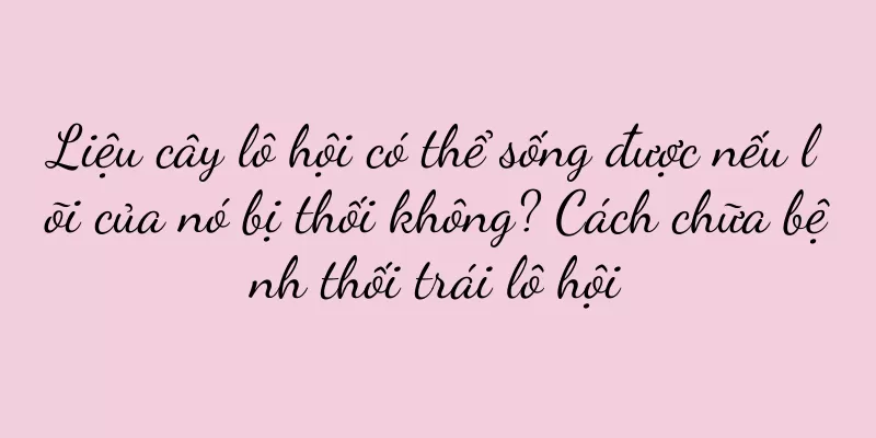 Liệu cây lô hội có thể sống được nếu lõi của nó bị thối không? Cách chữa bệnh thối trái lô hội