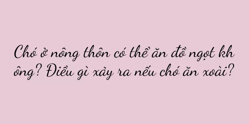Chó ở nông thôn có thể ăn đồ ngọt không? Điều gì xảy ra nếu chó ăn xoài?
