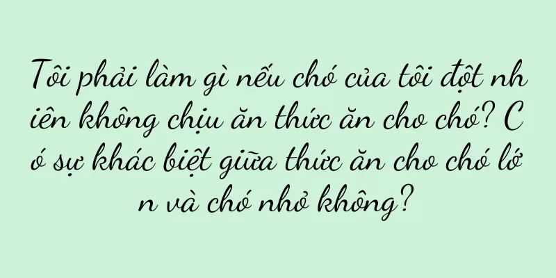 Tôi phải làm gì nếu chó của tôi đột nhiên không chịu ăn thức ăn cho chó? Có sự khác biệt giữa thức ăn cho chó lớn và chó nhỏ không?