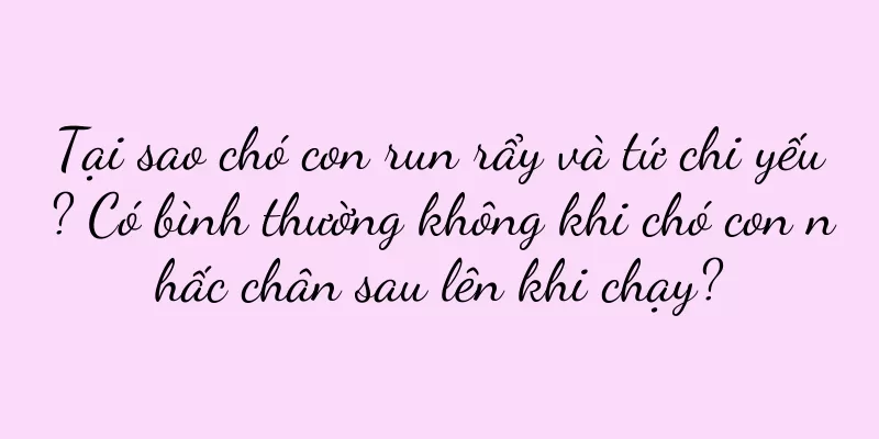 Tại sao chó con run rẩy và tứ chi yếu? Có bình thường không khi chó con nhấc chân sau lên khi chạy?