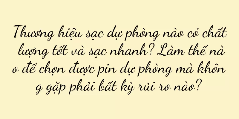 Thương hiệu sạc dự phòng nào có chất lượng tốt và sạc nhanh? Làm thế nào để chọn được pin dự phòng mà không gặp phải bất kỳ rủi ro nào?