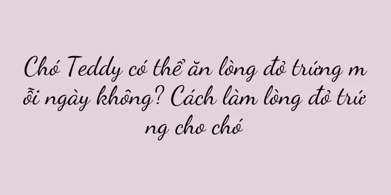 Chó Teddy có thể ăn lòng đỏ trứng mỗi ngày không? Cách làm lòng đỏ trứng cho chó