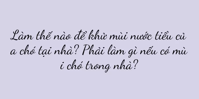 Làm thế nào để khử mùi nước tiểu của chó tại nhà? Phải làm gì nếu có mùi chó trong nhà?