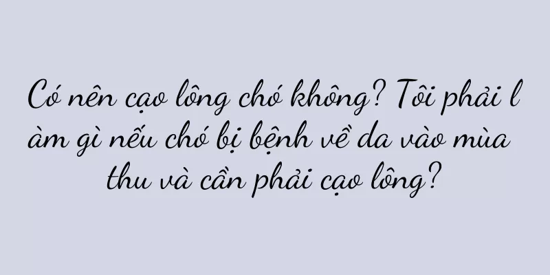 Có nên cạo lông chó không? Tôi phải làm gì nếu chó bị bệnh về da vào mùa thu và cần phải cạo lông?