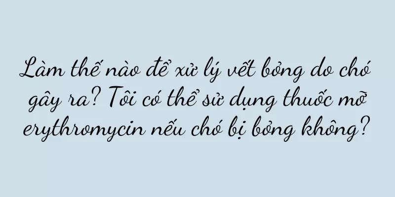 Làm thế nào để xử lý vết bỏng do chó gây ra? Tôi có thể sử dụng thuốc mỡ erythromycin nếu chó bị bỏng không?
