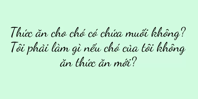 Thức ăn cho chó có chứa muối không? Tôi phải làm gì nếu chó của tôi không ăn thức ăn mới?